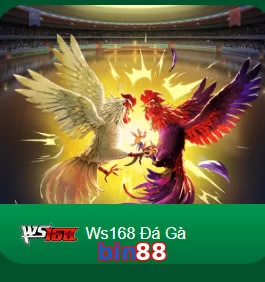 bin88